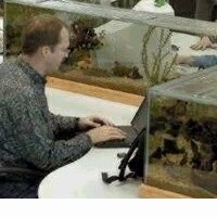 animales o seres necesarios.